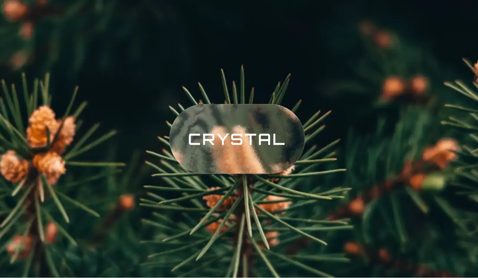 Liquid Glass Effect – Stunning UI Animation in HTML & CSS - Projects Image